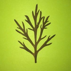 Meet your Posher, Carlos